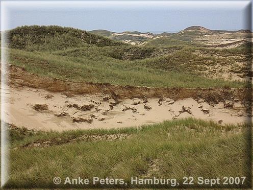 Amrum 22.-25.05.2007