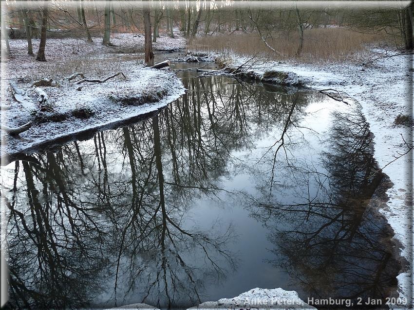 Aumühle_Friedrichsruh 01.02.2009