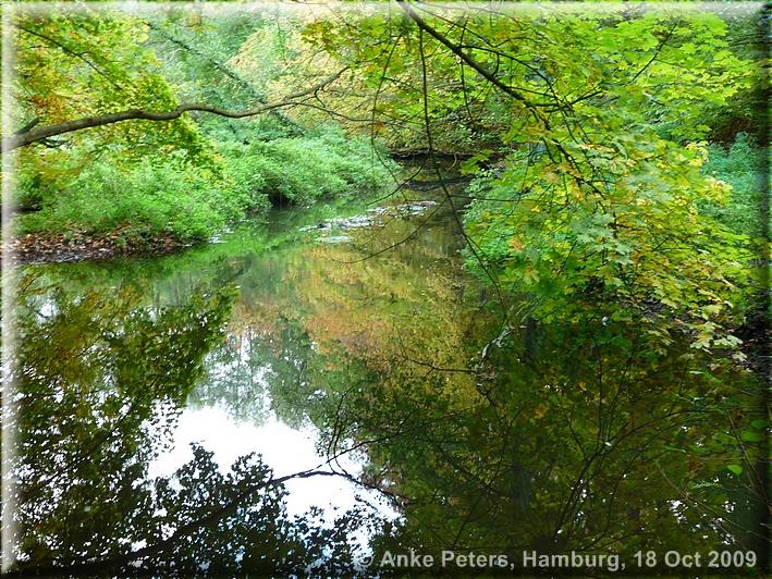 Friedrichsruh 18.10.2009