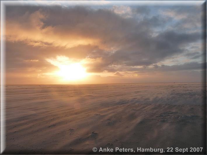 Kniepsand 13.03.2010