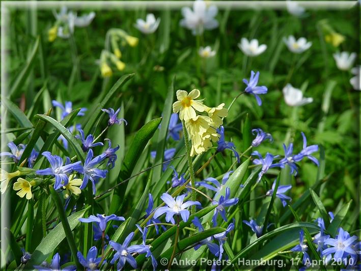 Kniepsand 13.03.2010