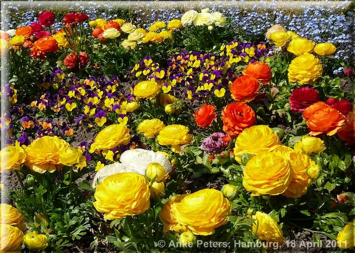 Arboretum Ellerhoop 18.04.2010