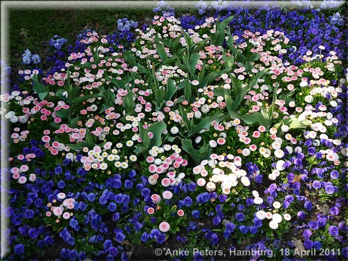 Arboretum Ellerhoop 18.04.2010