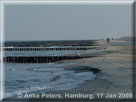 Zingst