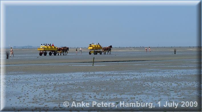 Wattwanderung nach Neuwerk