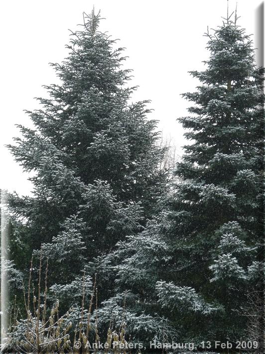 Lohbrügge 13.2.2009