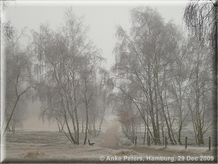 Boberger Düne 29.12.2009