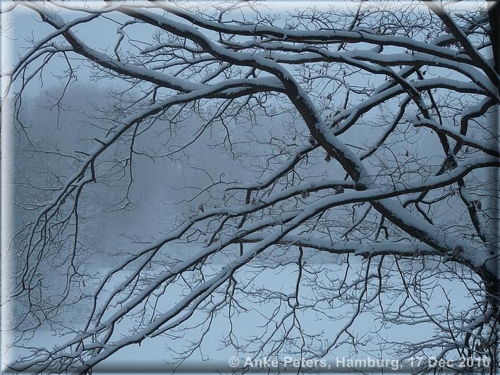 Lohbrügge 17.12. 2010