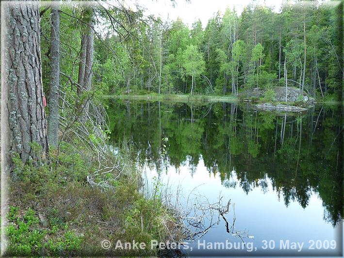 Fagertärn 30 May 2009