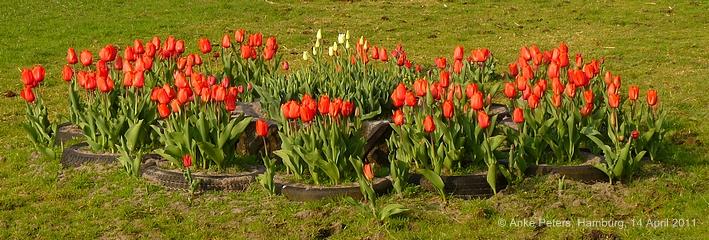 Schiermonnikoog 14 April 2011