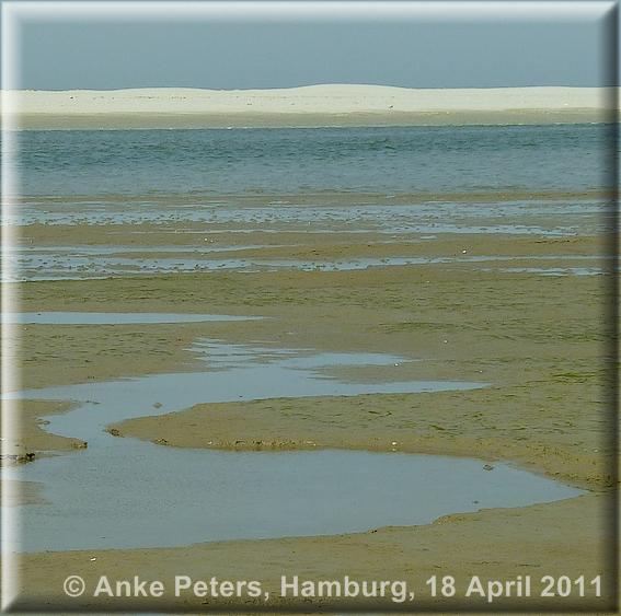 Schiermonnikoog 1  16.4.2011