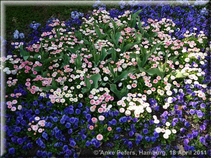 Arboretum Ellerhoop 18.04.2010