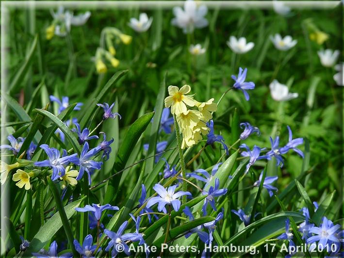 Kiel_Old Botanical Garden