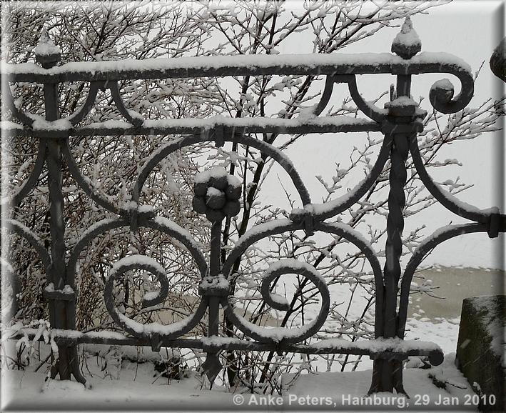 Außenalster 29.1.2010