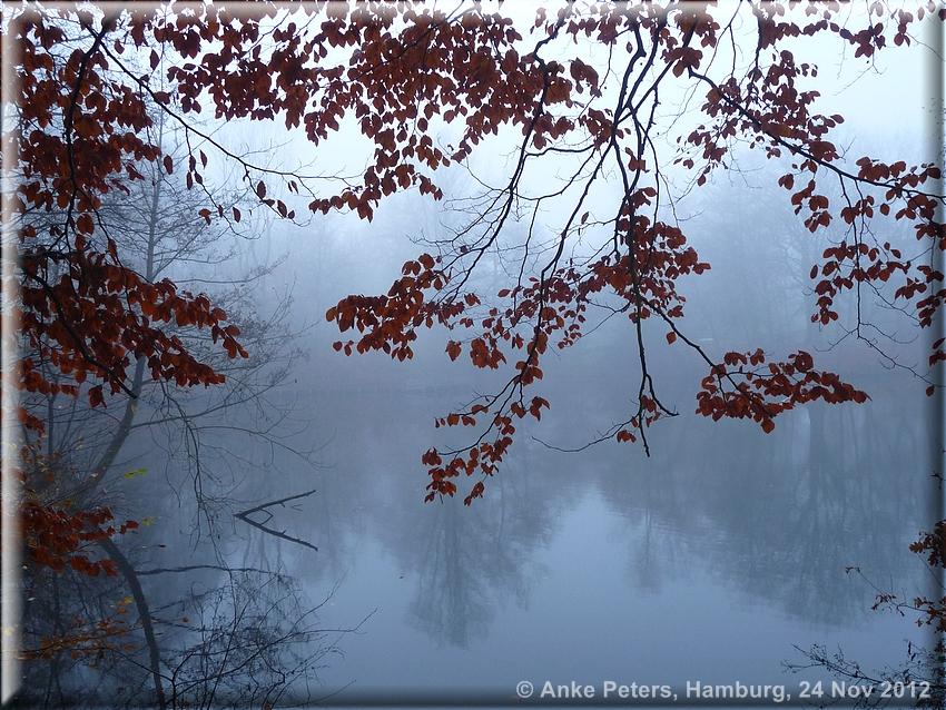 Lohbrügge 24.11.2012